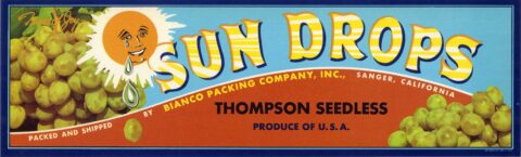 Sun Drops